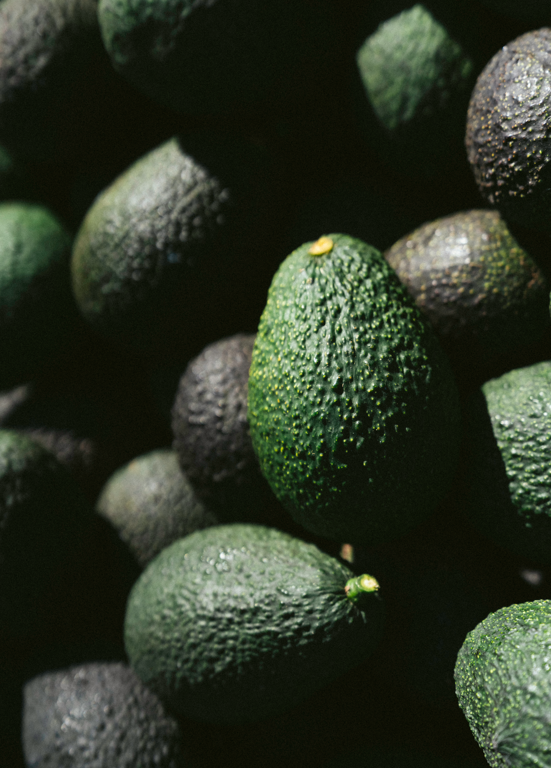 Close-up of green avocados with a dark background