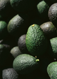 Organic Avocados