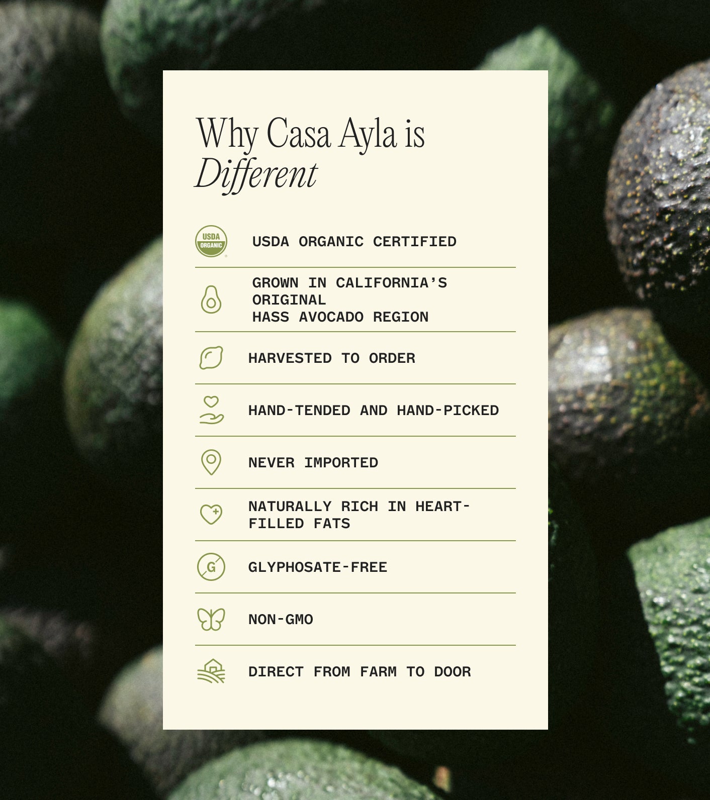 Card detailing why Casa Ayla avocados are different, set against a background of green avocados.