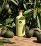 Avocado Oil